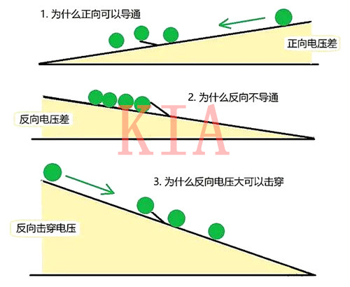 二極管 單向導電